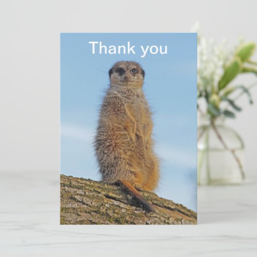 Meerkat Bedankkaart (Staand voorkant)