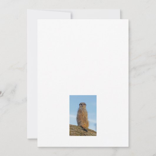 Meerkat Bedankkaart (Achterkant)