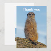 Meerkat Bedankkaart (Voorkant / Achterkant)