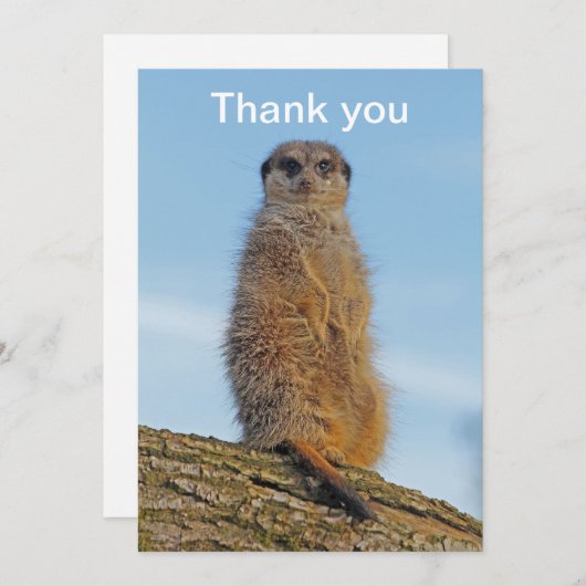 Meerkat Bedankkaart (Voorkant / Achterkant)