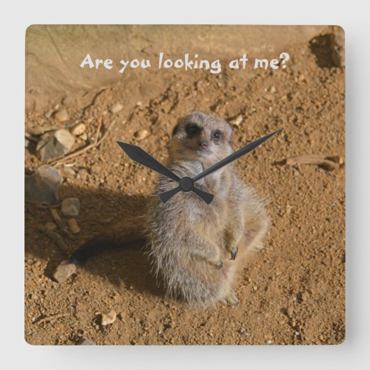 Meerkat Behuizing Grappig Drusillas Park Vierkante Klok (Voorkant)