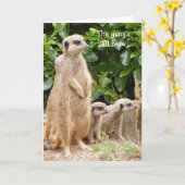 Meerkat bende verjaardagskaart kaart (Gele Bloem)