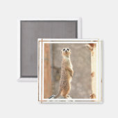 Meerkat bij Aandachtsmagneet Magneet (Voorkant / Achterkant)
