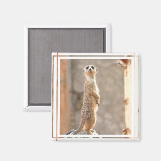 Meerkat bij Aandachtsmagneet Magneet (Voorkant / Achterkant)