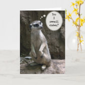 Meerkat Birthday card Kaart (Gele Bloem)