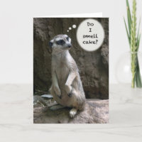Meerkat Birthday card