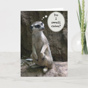 Meerkat Birthday card Kaart