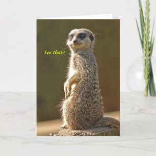 Meerkat Birthday Card Zie je dat? c Kaart