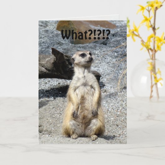 Meerkat Birthday Kaart (Gele Bloem)
