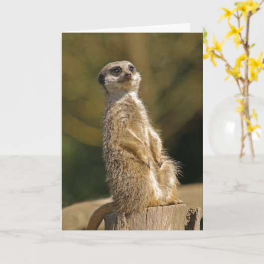 Meerkat Birthday Kaart (Gele Bloem)