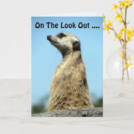 Meerkat Birthday Kaart (Gele Bloem)