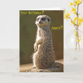 Meerkat Birthday Kaart (Gele Bloem)