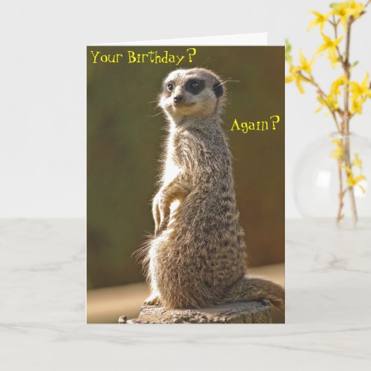 Meerkat Birthday Kaart (Gele Bloem)