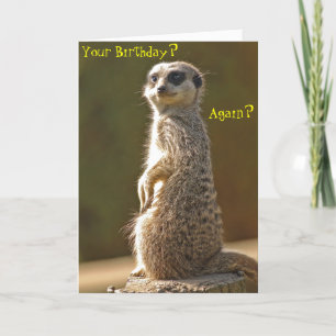 Meerkat Birthday Kaart