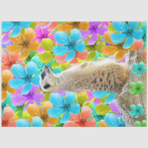 Meerkat Blossoms, Tissuepapier