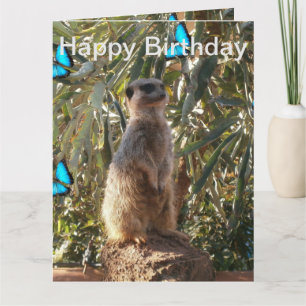 Meerkat Blue Butterflies, Jumbo Birthday Kaart. Kaart