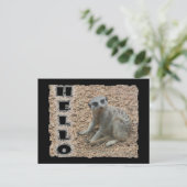 Meerkat Briefkaart (Staand voorkant)