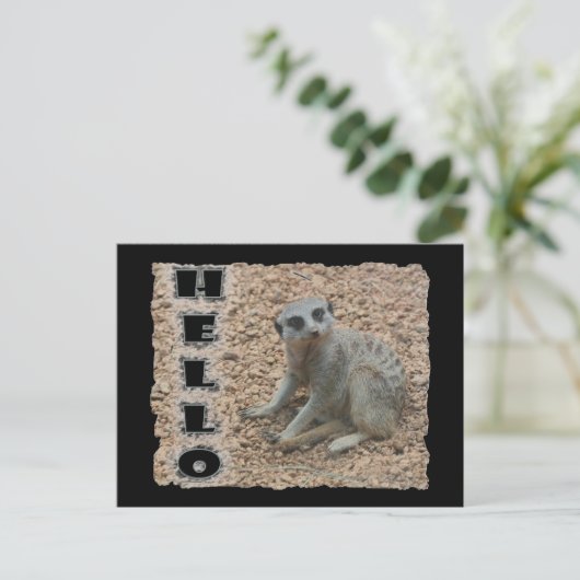 Meerkat Briefkaart (Staand voorkant)