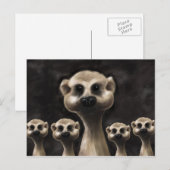 Meerkat briefkaart (Voorkant / Achterkant)
