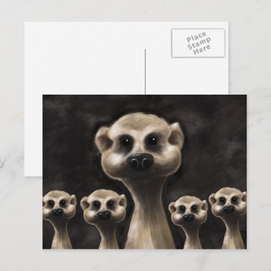 Meerkat briefkaart (Voorkant / Achterkant)