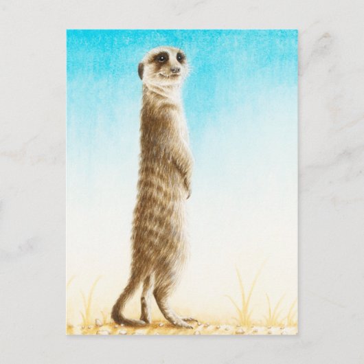 Meerkat Briefkaart (Voorkant)
