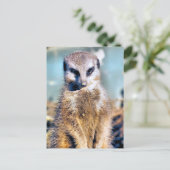 MEERKAT BRIEFKAART (Staand voorkant)