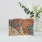 Meerkat Briefkaart (Staand voorkant)