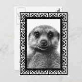 Meerkat Briefkaart (Voorkant / Achterkant)