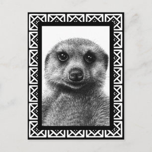 Meerkat Briefkaart