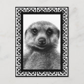 Meerkat Briefkaart (Voorkant)