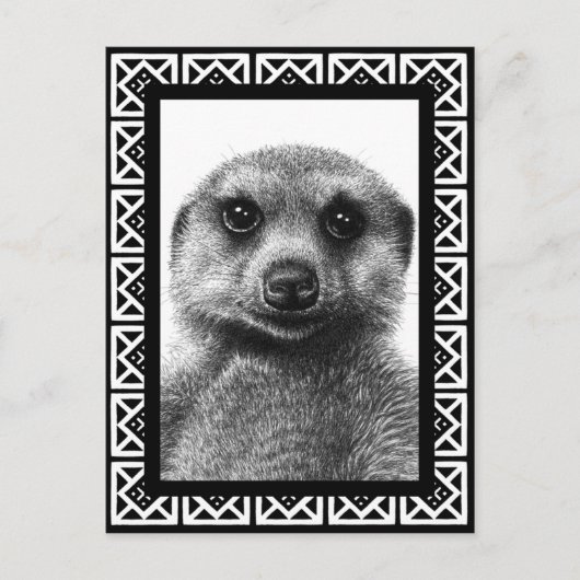 Meerkat Briefkaart (Voorkant)