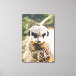 MEERKAT CANVAS AFDRUK