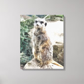 MEERKAT CANVAS AFDRUK (Voorkant)