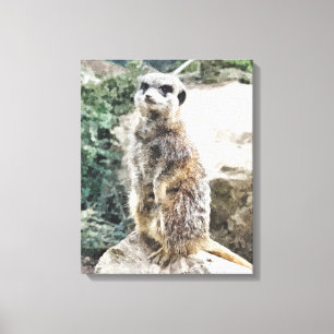 MEERKAT CANVAS AFDRUK