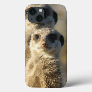 Meerkat iPhone 13 Hoesje