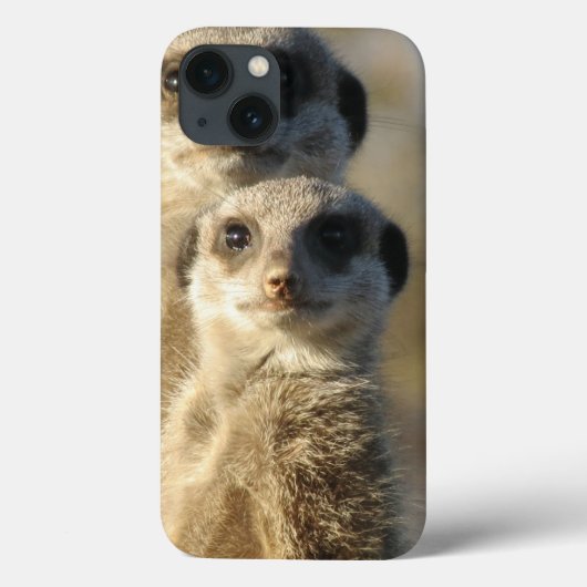 Meerkat Case-Mate iPhone Case (Achterkant)