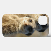 Meerkat Case-Mate iPhone Case (Achterkant (horizontaal))