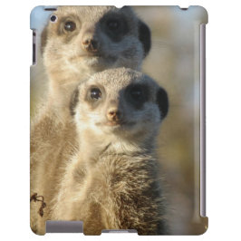 Meerkat iPhone 13 Hoesje