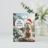 Meerkat Christmas Cheer Santa Feestdagenkaart (Staand voorkant)