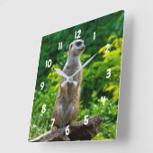 Meerkat Clock Vierkante Klok (Hoek)