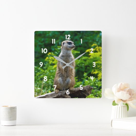 Meerkat Clock Vierkante Klok (Huis)