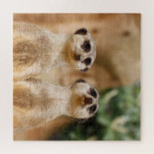 Meerkat Couple 003 Legpuzzel (Horizontaal)