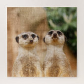 Meerkat Couple 003 Legpuzzel (Verticaal)