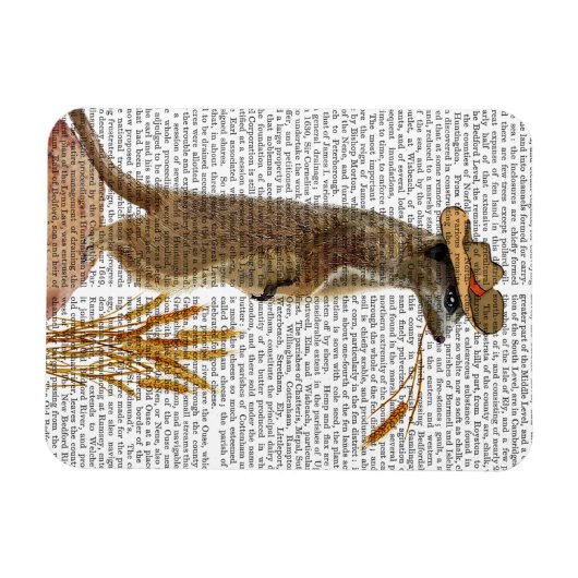 Meerkat Cowboy Magneet (Horizontaal)