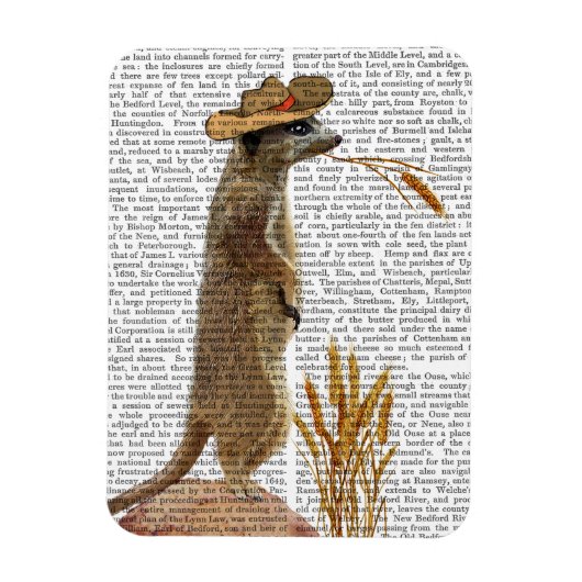 Meerkat Cowboy Magneet (Verticaal)