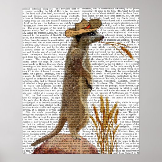 Meerkat Cowboy Poster (Voorkant)