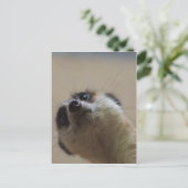 Meerkat die dramatisch kijkt briefkaart (Staand voorkant)