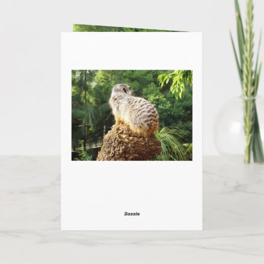 Meerkat die je mist, kaart (Achterkant)