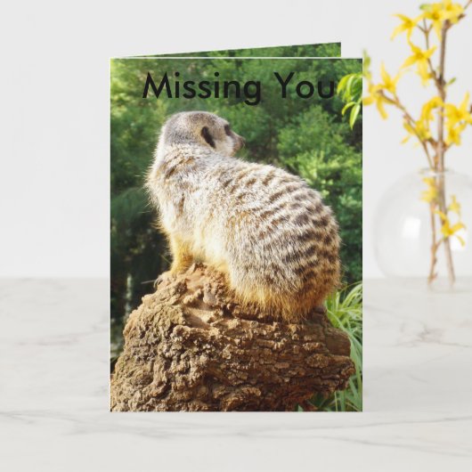Meerkat die je mist, kaart (Gele Bloem)