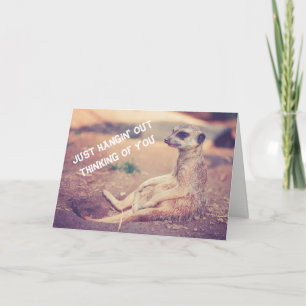 Meerkat die u missen Wenskaart Feestdagen Kaart